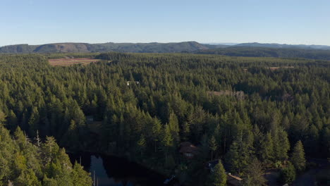 dense coniferous treetops with structures and mountains in background during sunny day at fahys lake in bandon, oregon