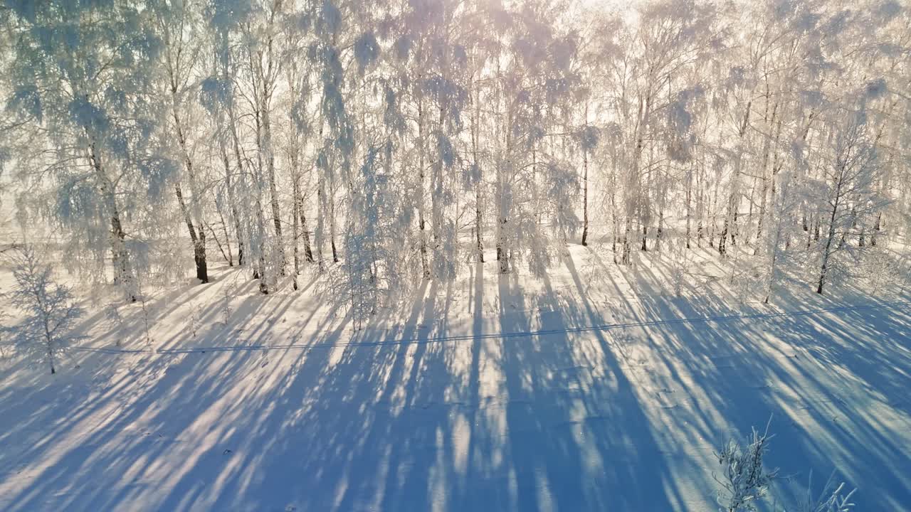 Vinterlandskap med snødekte trær