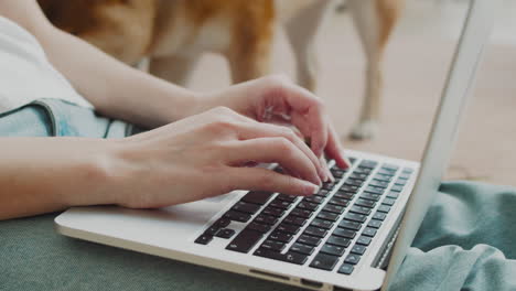 an unrecognizable woman's hands are typing on a computer keyboard