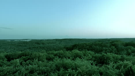 Hovering-over-trees,-on-the-horizon-there-is-a-blue-sky-without-clouds,-shots-for-the-period-before-sunset