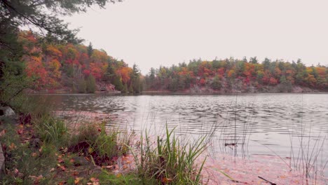 slow right slider shot of a lake with a board walk beside surrounded by an autumn coloured forest with hills and boardwalks