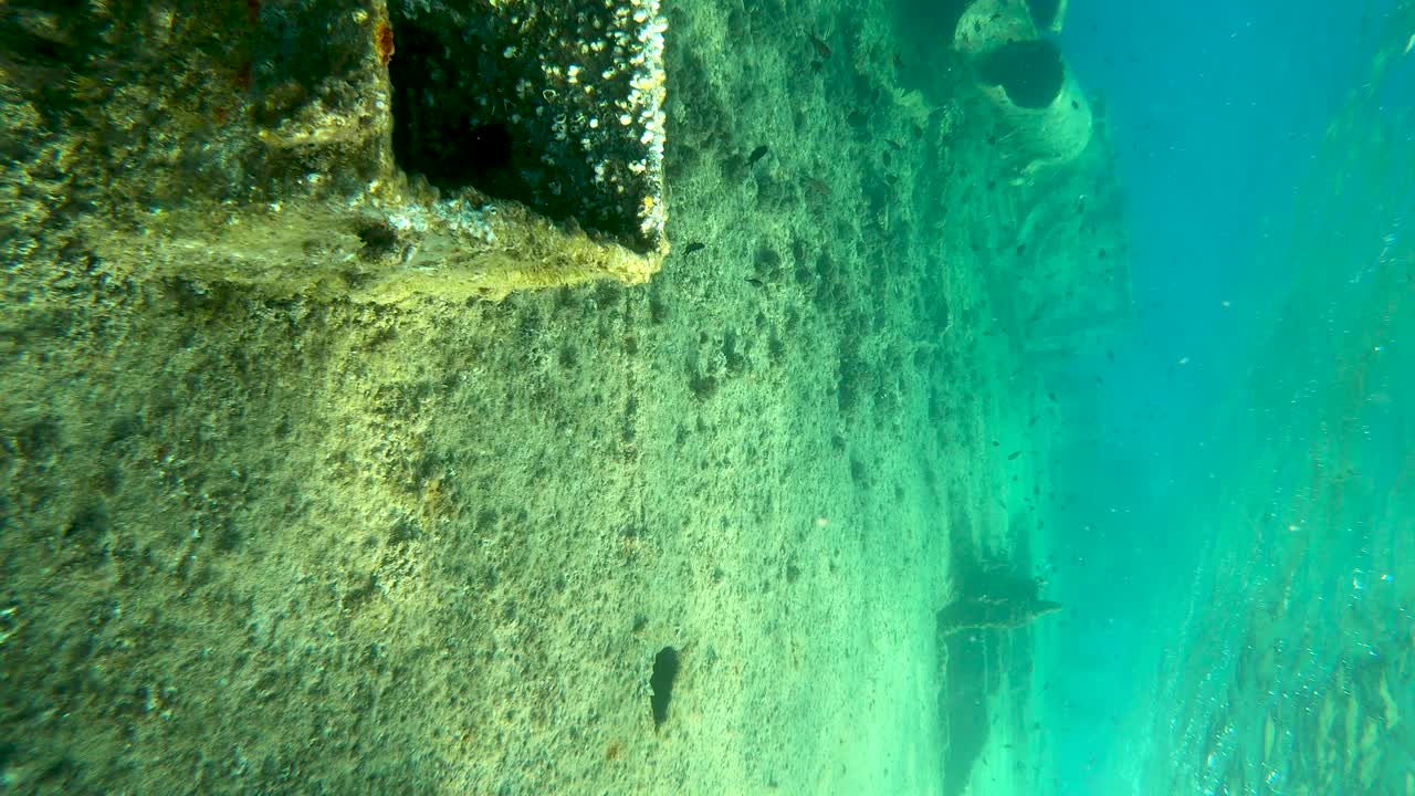 Diving along sunken boat, shipwreck, shallow waters