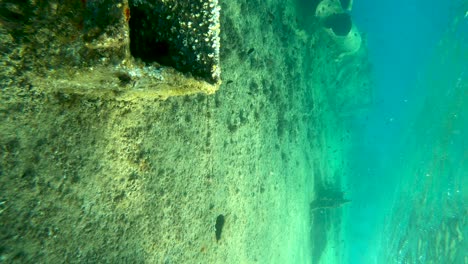 buceo a lo largo de barco hundido, naufragio, aguas poco profundas