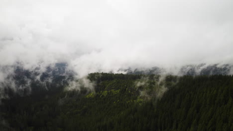 panoramic aerial overview of sweeping mountain valley covered in trees with thick fog of clouds