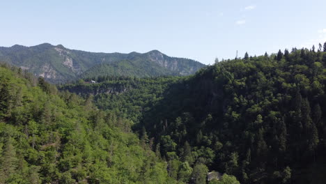 panorámica aérea en el parque central de borjomi sobre un espeso bosque verde y una cordillera en un día azul claro