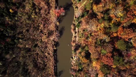 drone, top down, birds eye view, aerial pedestal up movement over the top of the rivanna river and surrounding forest displaying bright, vibrant, fall, autumn colors in virginia, usa