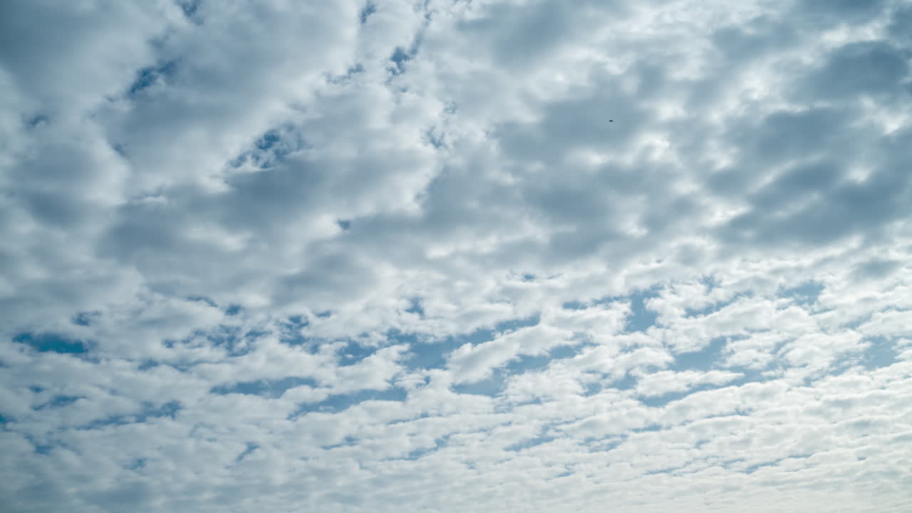 White altocumulus clouds in the rays of the morning sun. The movement of fluffy clouds crossing the blue sky. Summer timelapse