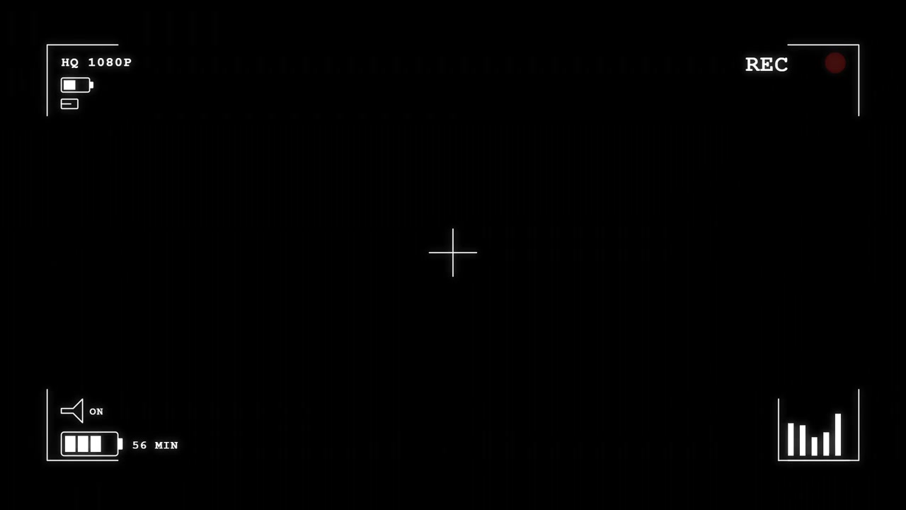 Digital Camera Viewfinder Overlay with Recording Indicator