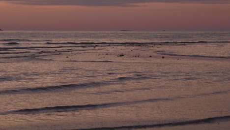 shallow beach by low tide on golden hour, with small waves covering the last visible part of the sand