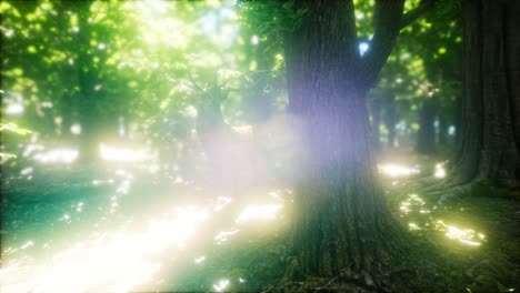 Great-Red-Deer-in-a-Green-Forest