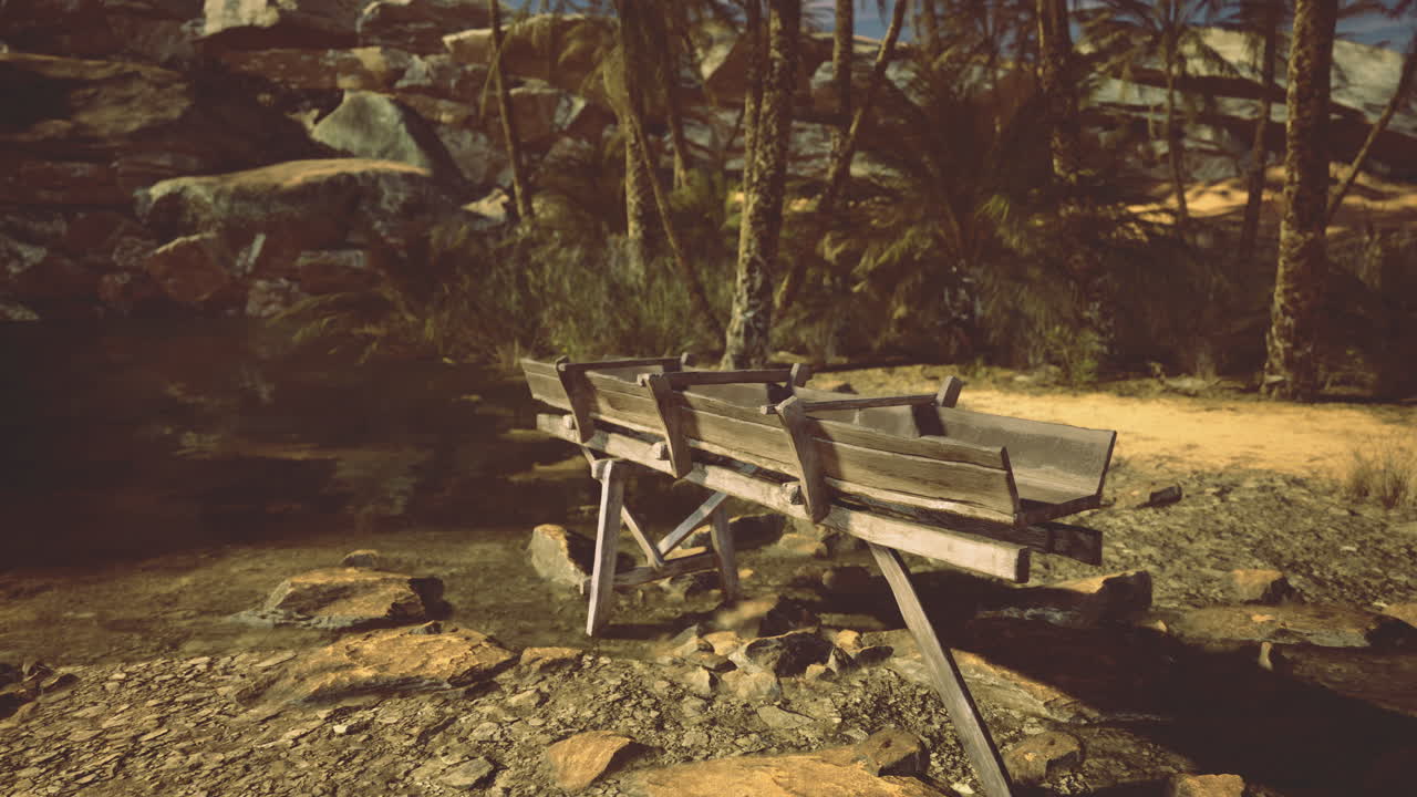 Wooden water trough surrounded by rocky terrain and palm trees at noon