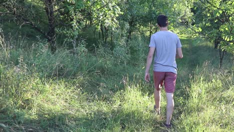 Un-Hombre-Camina-Por-Un-Sendero-En-El-Bosque,-Durante-El-Día,-Temporada-De-Verano