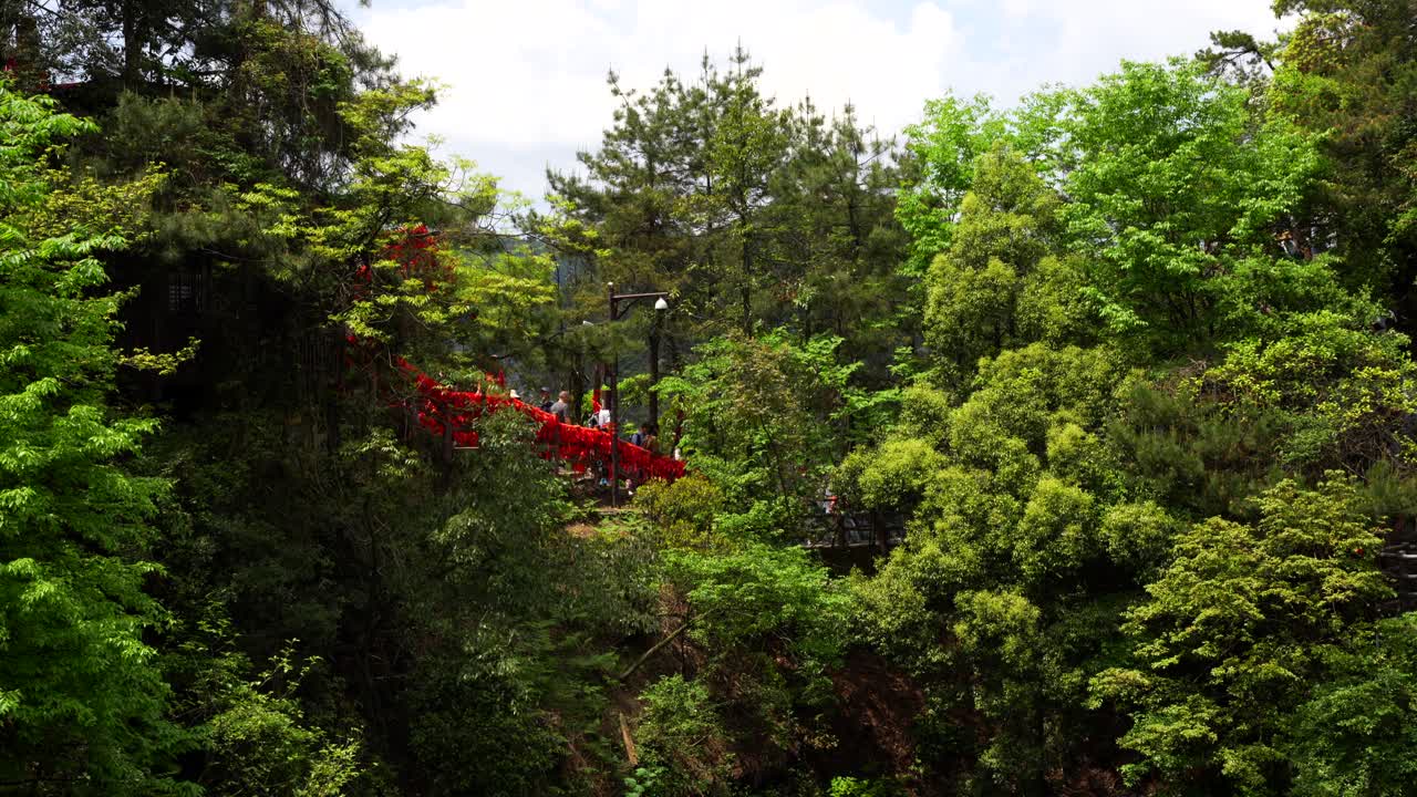 Tourists crossing First Natural Bridge in the World with red bows on railings within lush green vegetation. Zhangjiajie, China