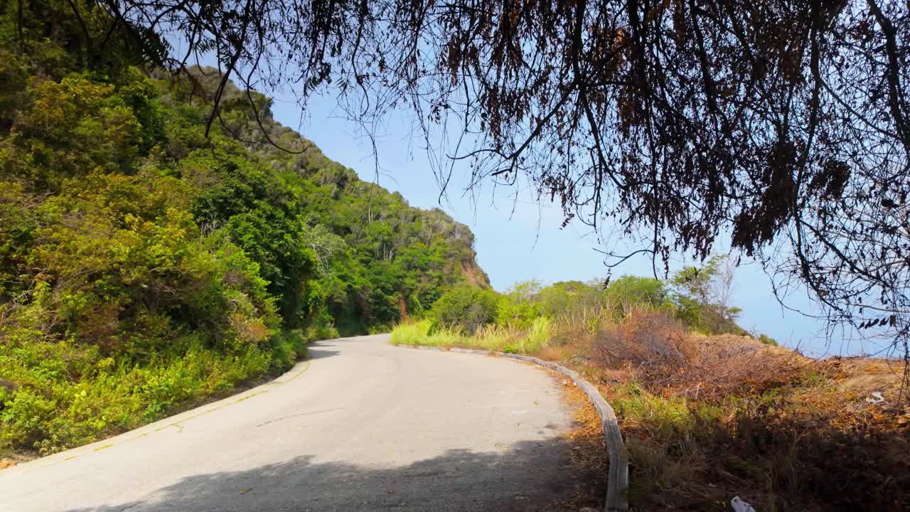 Under the shade of a tree at a viewpoint along the Caracas–Costa–Guaira highway, Venezuela.