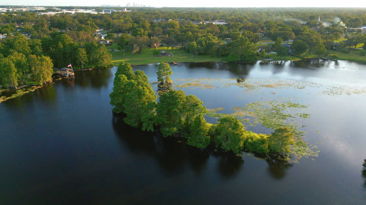 Small patch of trees growing in the river water as a flock of birds fly below. Aerial pullback