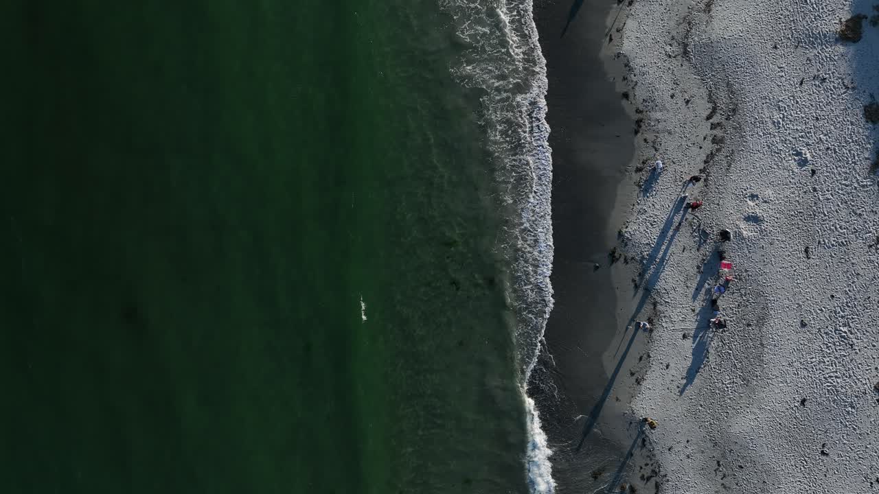 파인 포인트 비치 탑다운 조감도에서 여름을 즐기는 사람들