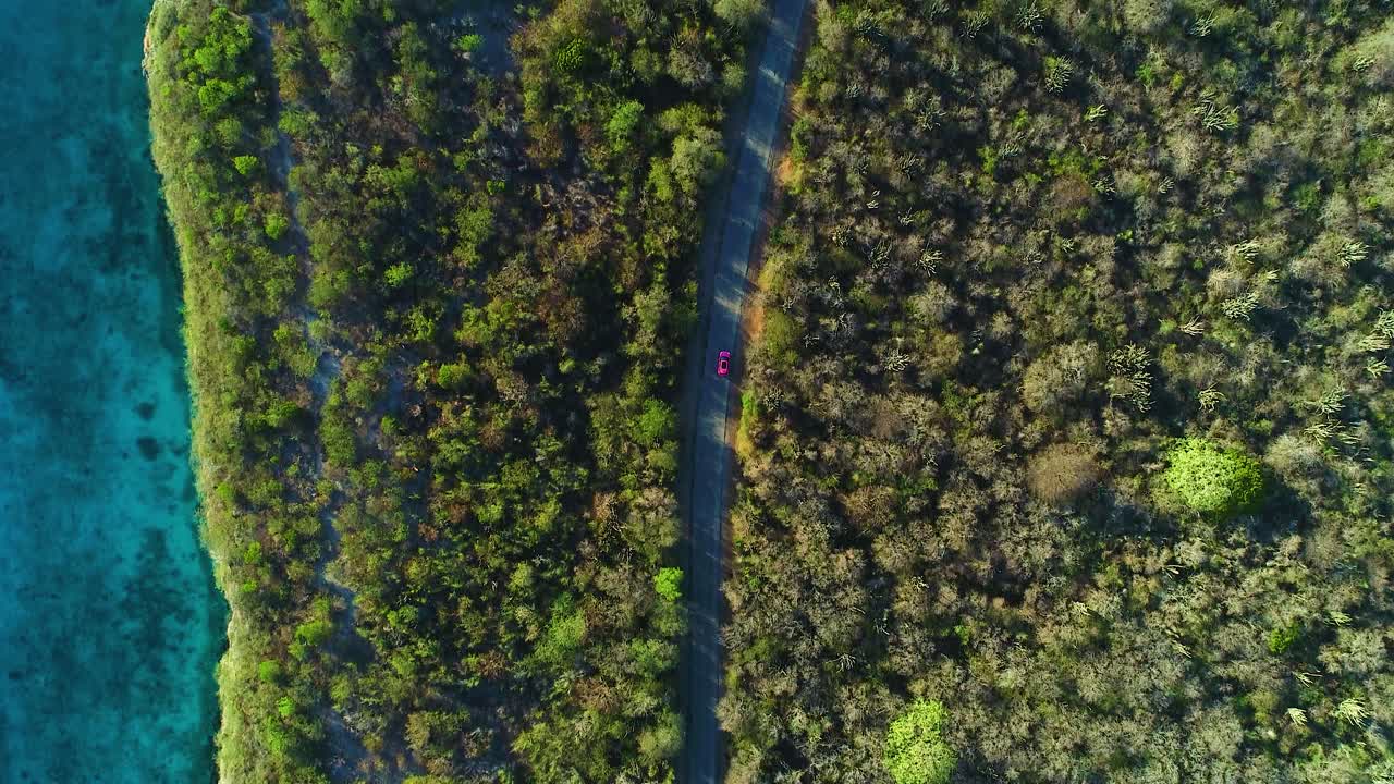 Car driving on coastal caribbean road, top down bird's eye view, stunning turquoise water and bright green desert scrub landscape, aerial
