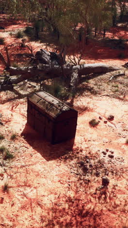 antique trunk in the desert