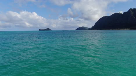 bosque de la playa de sherwood en oahu