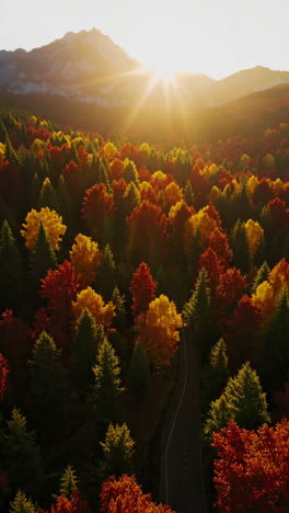 vibrant autumn forest with winding road and sunset