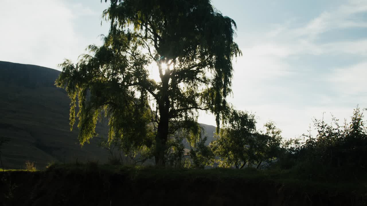 God rays shining through the tree on an African scenic countryside
