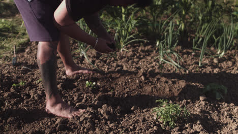 Plano-Medio-De-Un-Hombre-Latino-Preparando-El-Suelo-En-Su-Huerta-Para-Plantar-Al-Atardecer