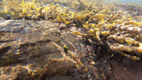 piscina de marea pov mientras las olas se mueven sobre rocas dentro y fuera de la piscina