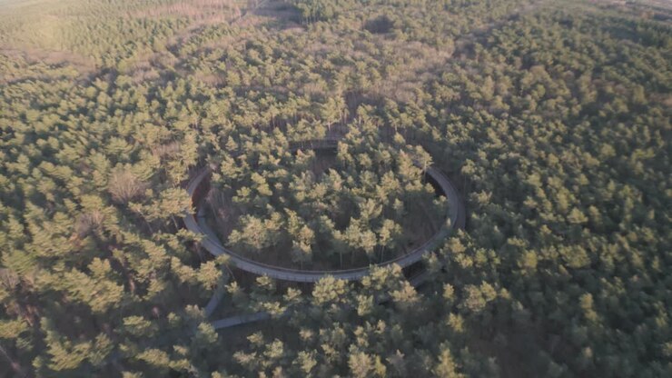 Natural forest and ring shape walkway track, aerial view
