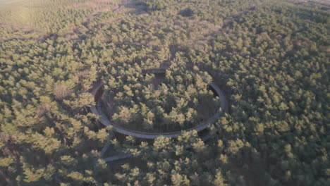 bosque natural y sendero en forma de anillo, vista aérea