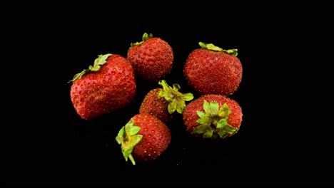 Timelapse-De-Fresas-Pudriéndose-Sobre-Un-Fondo-Negro-Que-Muestra-Deterioro-Con-El-Tiempo