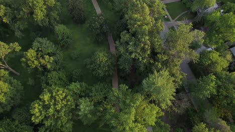 widok z góry na park dębowy ze ścieżką i drzewami, a następnie przechylenie w górę, aby odsłonić okoliczne sąsiedztwo gliny i horyzont