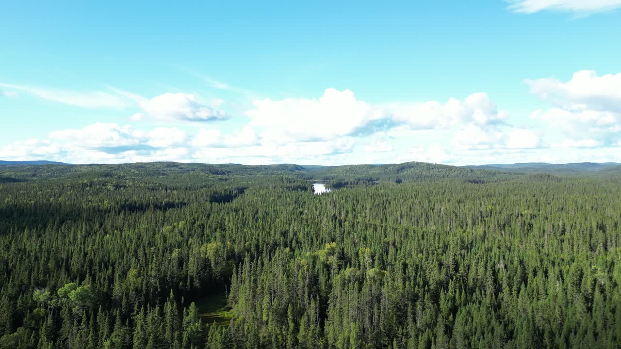 Vista aerea della lussureggiante foresta del Quebec con cielo terso a Seigneurie du Triton