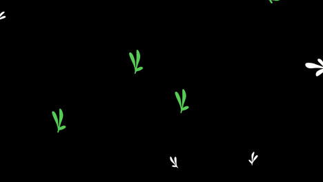 Schöne-Blattanimation,-Schleifenanimation,-Transparenter-Hintergrund-Mit-Einem-Alphakanal.