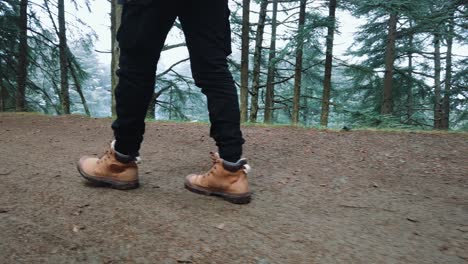 close up follow shot of male sneackers or hiking shoes walk in soil road inside forest