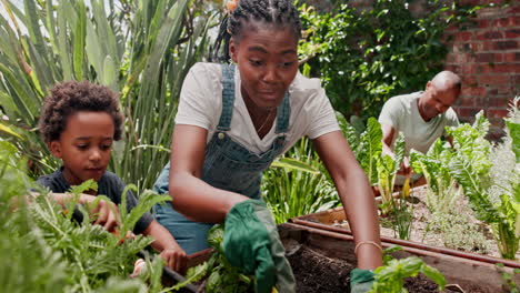 family gardening