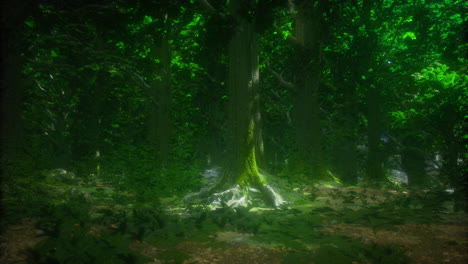 vibrant forest ecosystem illuminated by dappled sunlight through lush canopy