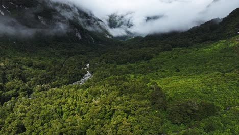 La-Panorámica-Aérea-Establece-Un-Río-Sinuoso-En-El-Fondo-De-Un-Valle-Boscoso-Cubierto-De-Nubes,-Milford-Sound.