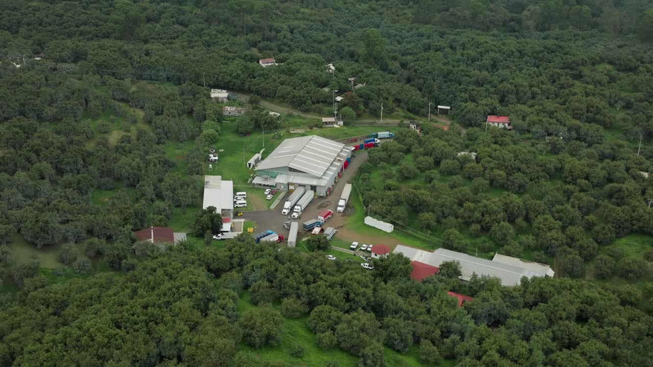 Aerial view of packing houses with transport trucks surrounded by dense green forests