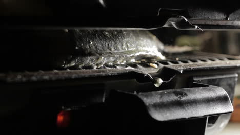 fish cooking in the grill macro shot