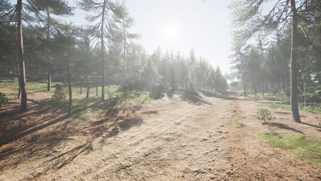 Sendero-Colorado-Entre-Los-Pinos-Con-Las-Montañas