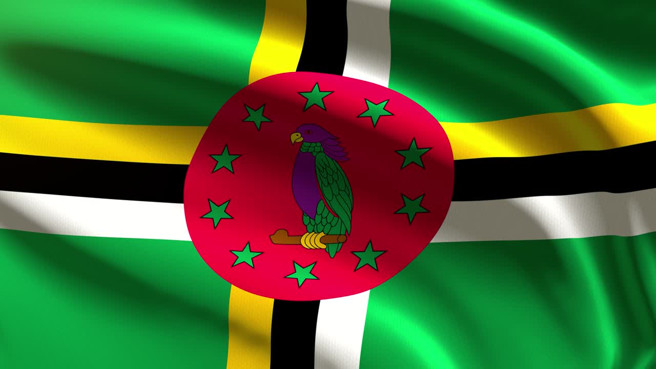 bandera festiva de dominica - animación en bucle