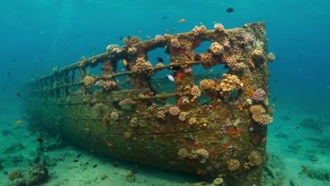 underwater exploration of an ancient shipwreck adorned with vibrant coral and marine life, revealing the beauty of submerged history and ecosystems
