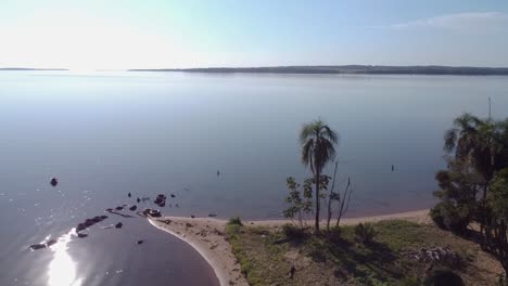 Aerial-drone-shot-over-palm-tree-in-an-island-with-brigh-sun-in-the-background