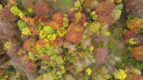 The colors of autumn are yellow, green and orange, which bring with them a change of life, a season that allows us to open up to new things. The drone captures not only beauty but also: admiration