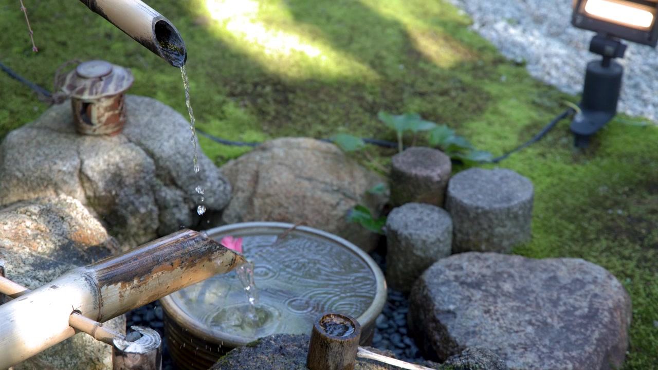 Una fontana d'acqua in bambù si inclina e si riversa in una vasca di pietra in un giardino zen.