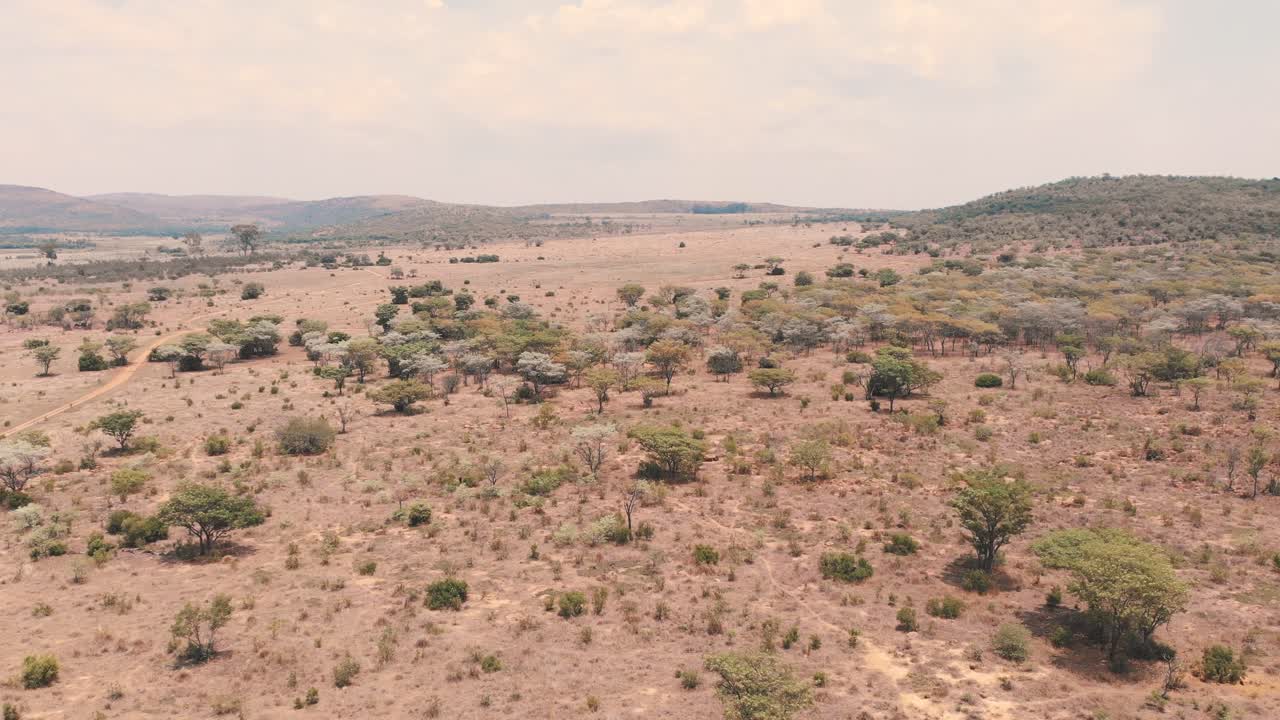 Ripresa con drone della savana africana con scarsa vegetazione, Riserva Kololo