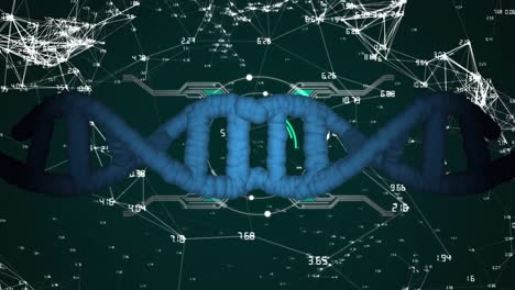 Animation-Von-DNA,-Verbindungspunkte-Mit-HUD-Verarbeitung-Auf-Digitaler-Schnittstelle