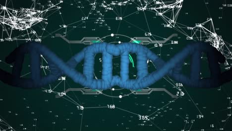 animación del adn, conectando puntos con procesamiento de hud en la interfaz digital