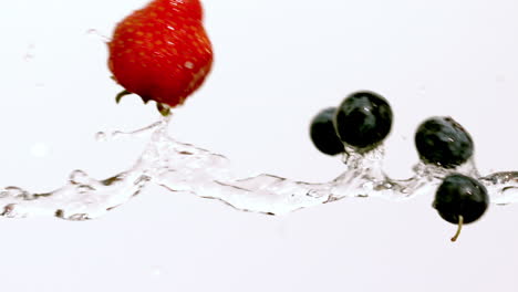 berries moving through stream of water