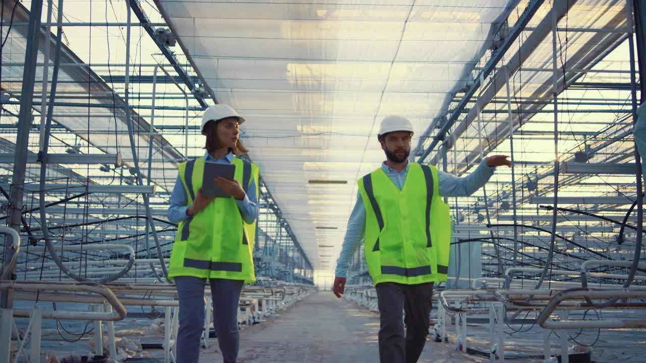 Two engineers planning production process in empty greenhouse discussing
